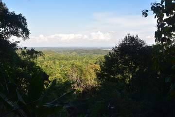 The local corn and rice fields in rural Northern Thailand