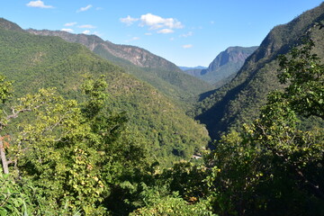 Hiking in the lush rainforest in Doi Inthanon National Park in Northern Thailand