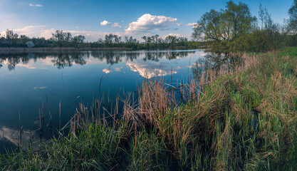 Summer evening landscape