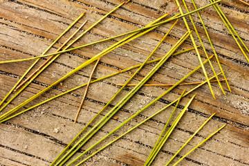 White pine needles lie in a criss-crossed pattern over the boardwalk to the beach within Kohler-Andrae State Park, Sheboygan, Wisconsin in mid-October