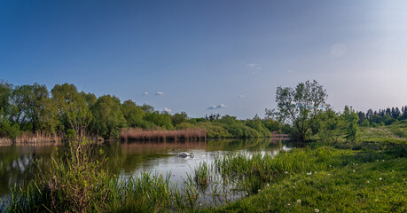 Obraz premium Summer landscape