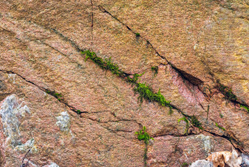 Old cracked stone