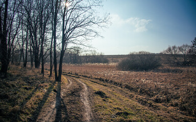 Spring evening landscape