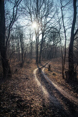 Spring evening landscape