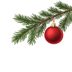 Christmas tree branch with red ball isolated on transparent background, png