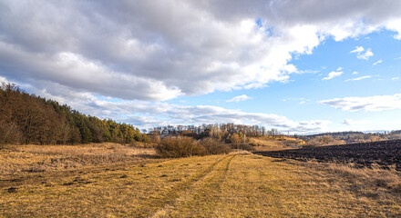 Spring evening landscape