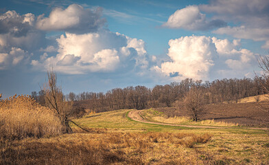 Fototapeta premium Spring evening landscape