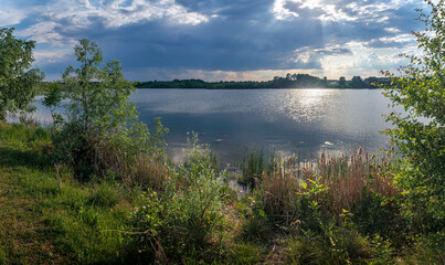 Obraz premium Summer landscape