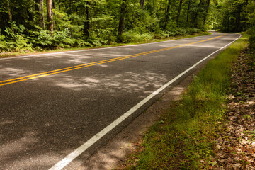 Sunlight and shadows dance across scenic Highway K in late August in Vilas County, Wisconsin