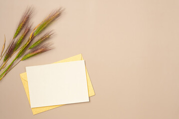Spikelet grass on a beige background. Copy space. Flat lay, top view. Space for text