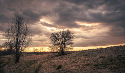 Naklejka premium Spring evening landscape