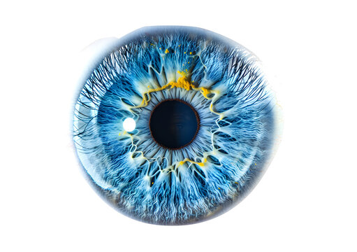Extreme close-up of a blue eye with intricate details of the iris, eyelashes, and surrounding skin. The image captures the vibrant patterns and colors within the iris, highlighting the eye's natural