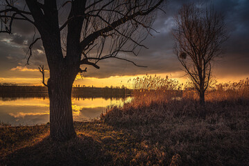 Spring evening landscape