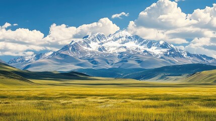 Summer landscape of the Tibetan Plateau with snowy peaks. Clear view, high quality, ample copy space