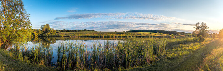 Summer evening landscape