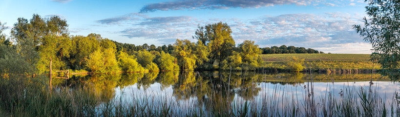 Summer evening landscape