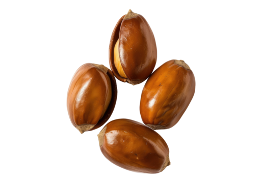 Beech nuts isolated on transparent background. Transparent PNG.
