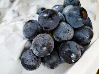 Fresh purple grapes