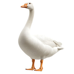 Obraz premium White domestic goose isolated on transparent background Generative Ai.