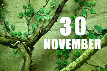 Calendar date on light green background with snake crawling on tree branch. November 30 is the thirtieth day of the month