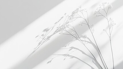 Minimalist white background with subtle texture and soft shadows, perfect for product photography