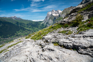 Scenery on the Eiger trail in Switzerland in the summer