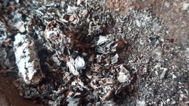 The impact of land fires is that the leaves start to dry out