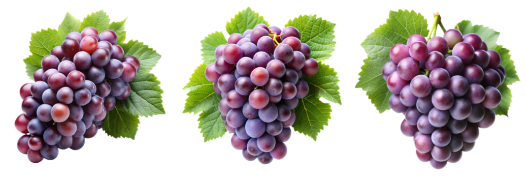 Bunch of grapes