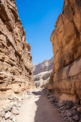 Fototapeta premium A dirt road winding between rocky cliffs in a desert landscape.
