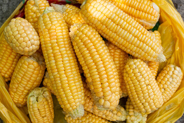 corn in cobs, close -up. A close -up of ripe corn in cobs.