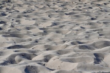 Sea sand on the coast with feet