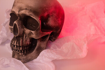 The artificial skull sits ominously, its hollow eyes and gaping mouth creating an eerie presence....