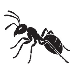Ant silhouette vector. Ant Vector Design Logo. Ant Illustration With Various Shapes