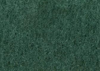 Green carpet texture. Green pattern on the surface of the natural material sponge. Abstract green fluffy background.	
