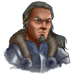 Fantasy Long Haired Old Man Knight Portrait