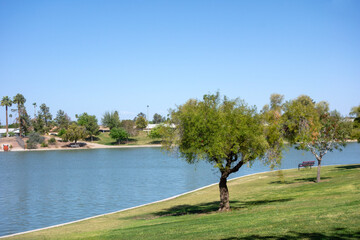Green trees and grass lawns along curved shores of Kiwanis park lake, Tempe, Arizona; copyspace