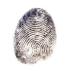 human fingerprint transparent background