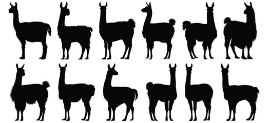 Llama silhouette set vector design big pack of animal illustration and icon © Catnip