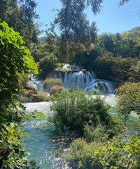 waterfall in the forest