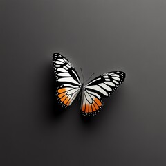 Butterfly feeding flat design top view nectar consumption theme water color black and white