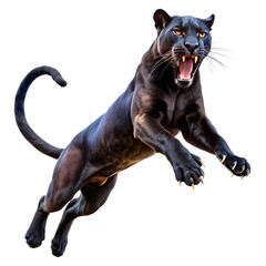 black panther, Transparent background