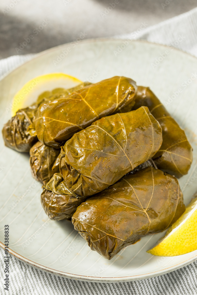 Wall mural healthy greek stuffed grape leaves