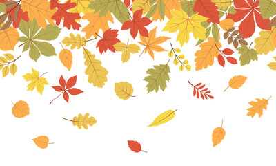 Fototapeta premium Autumn leaves a seamless border. Vector horizontal endless borders with forest flying leaves in bright colors. Seasonal fall design for greeting cards, banners, washi tape, web, and Thanksgiving day.