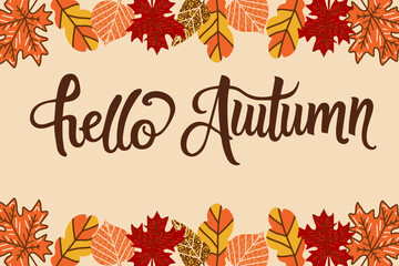 Hello autumn vector illustration, hand written lettering and fall leaves.