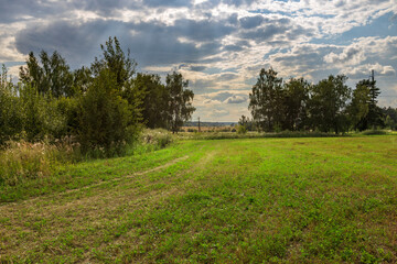 Obraz premium A field with trees and grass in the background