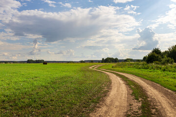 Obraz premium A dirt road winds through a field of grass