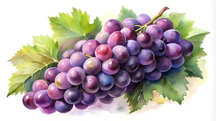 Fototapeta premium A Symphony of Purple: A Watercolor Painting of a Lush Grape Bunch Generative AI