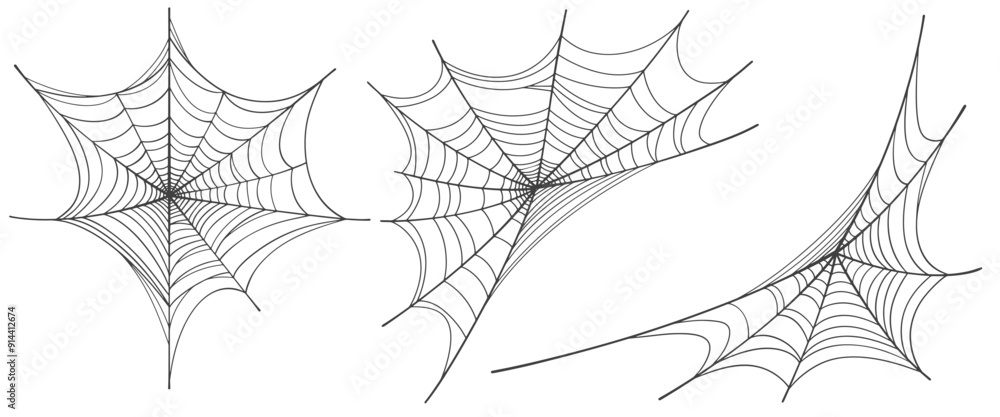 Poster vector set of spider web on white