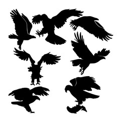 Bald Eagle Silhouette Vector Art Set