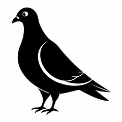 Pigeon Black silhouette